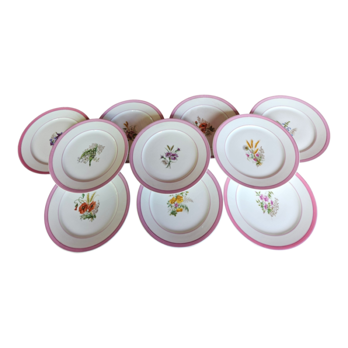 antique hand painted with wildflowers old paris salad or dessert plates with raspberry borders retailed by kerr philadelphia 1860 set of 12 1245