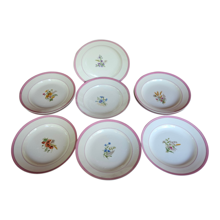 antique old paris soup plates with wildflowers and a raspberry border set of 10 9562