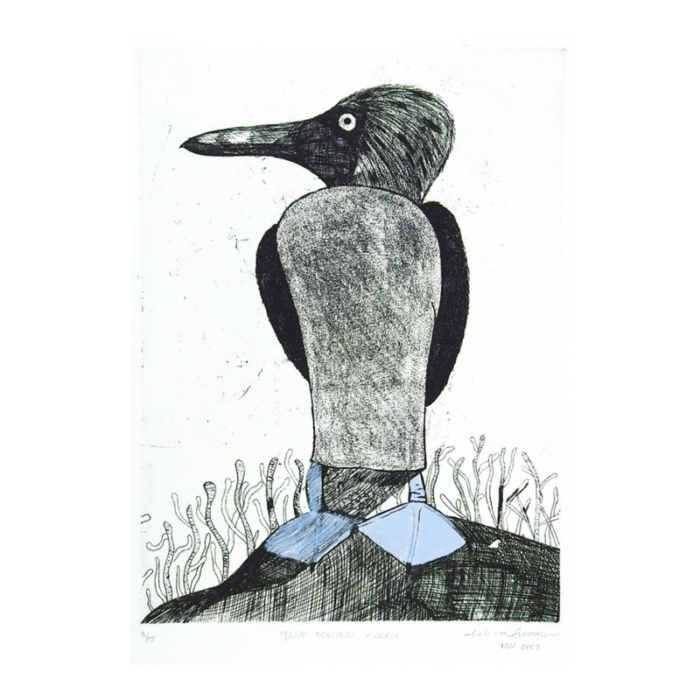 contemporary abstract bird blue footed booby etching 8635