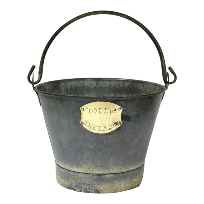 mid 20th century english dairy bucket for dolly the cow 5976