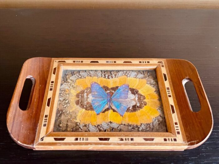 small vintage wooden brazilian butterfly tray 1162