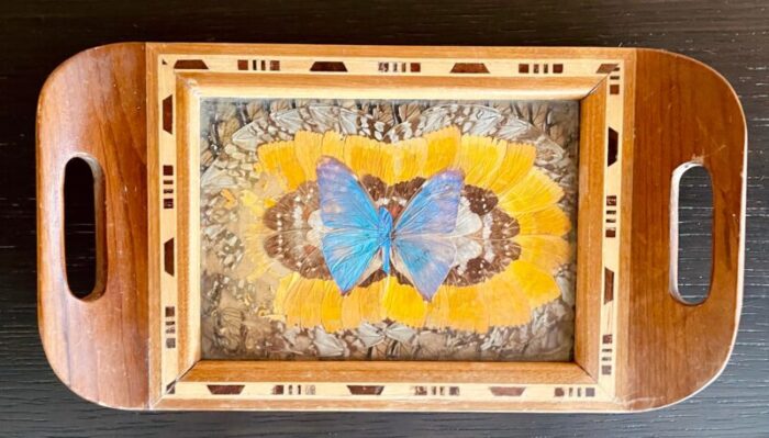 small vintage wooden brazilian butterfly tray 1868