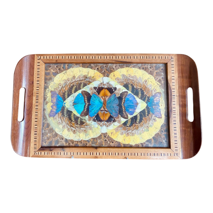 vintage early 20th century wooden brazilian butterfly tray 1305