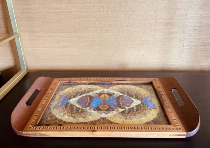 vintage early 20th century wooden brazilian butterfly tray 1855