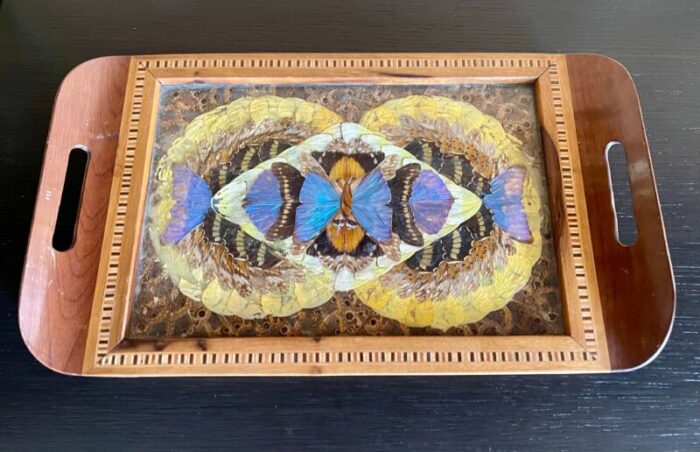 vintage early 20th century wooden brazilian butterfly tray 6229